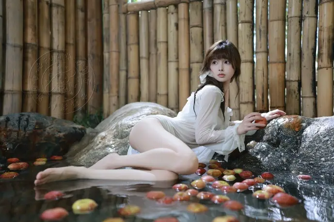 成语字典使用场景