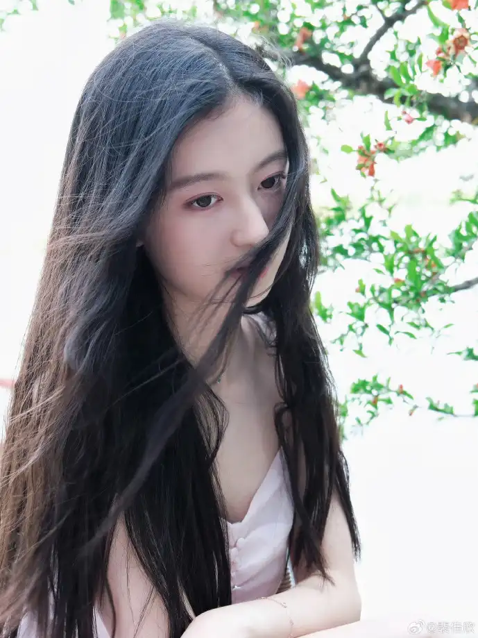 冒险王 下载战斗画面